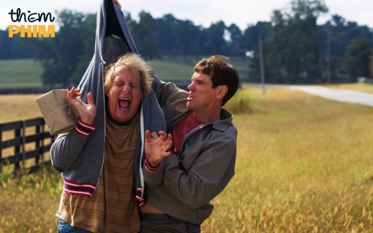 Phim Dumb And Dumber